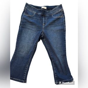 Lane Bryant pull on cropped jeggings size: 12
